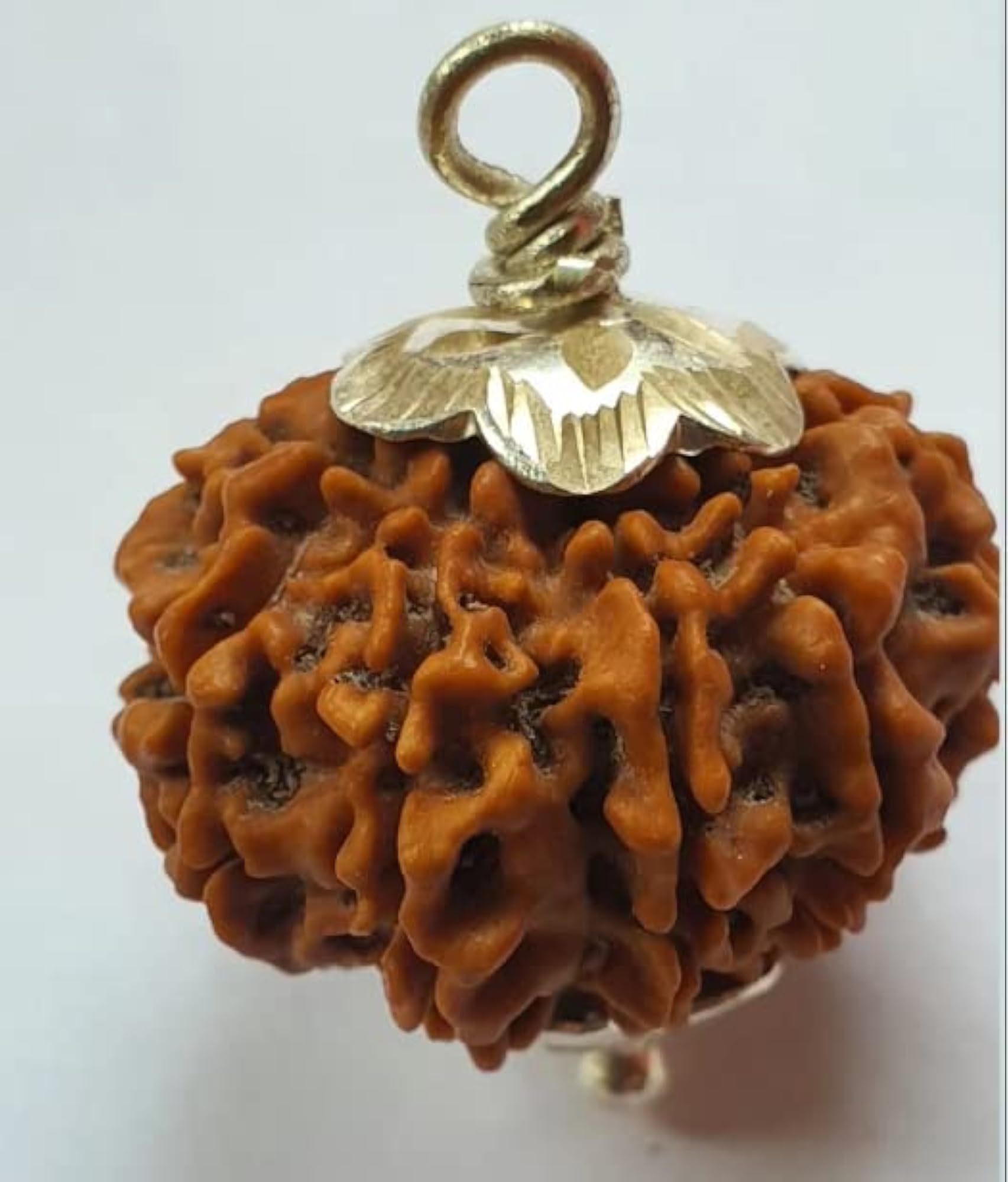 Nau Mukhi Rudraksha with Capping, Pure Nepal Brown Bead
